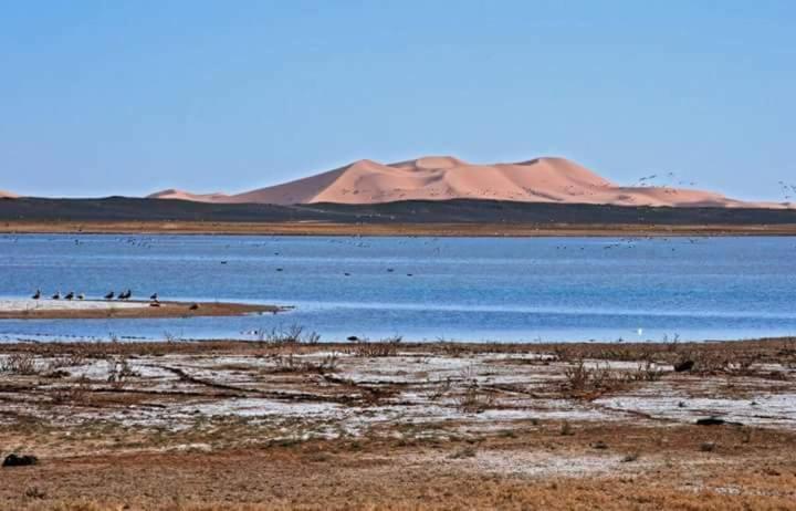 ホテル Maison Bedouin メルズーガ エクステリア 写真
